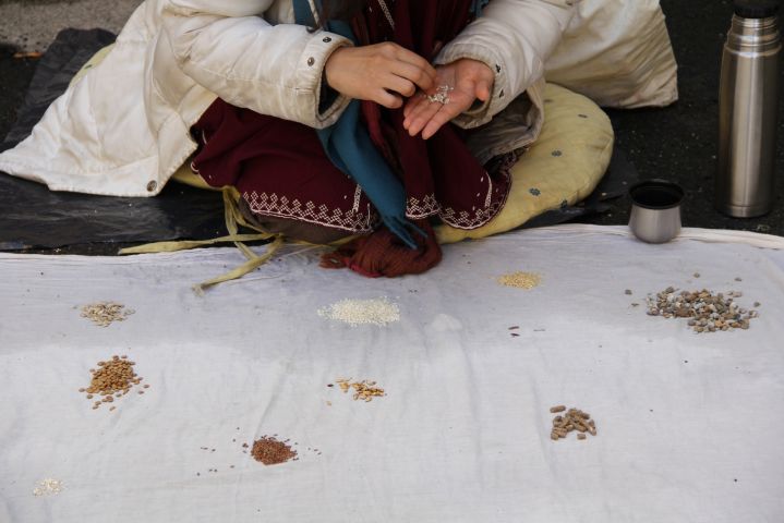 A sheet is layed on the ground and the hands of  someone are depicted as they sort small objects like rice, seeds and stones into different piles. 